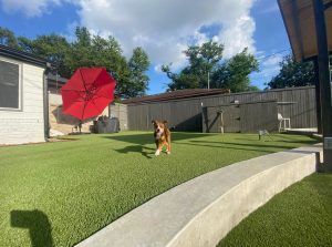 artificial pet turf