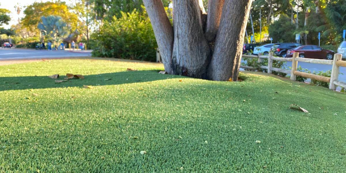 Alternate view of the balboa park parking lot with artificial grass