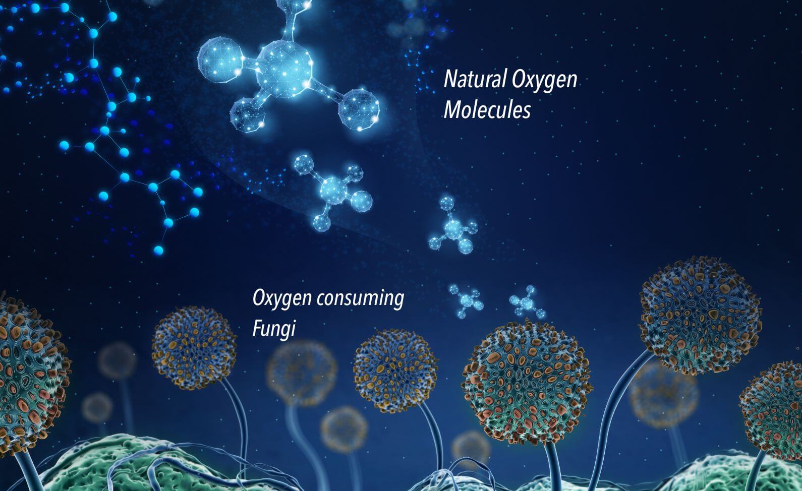 Enviroloc infographic