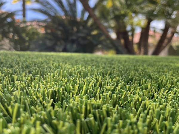 Close up view of residential artificial grass