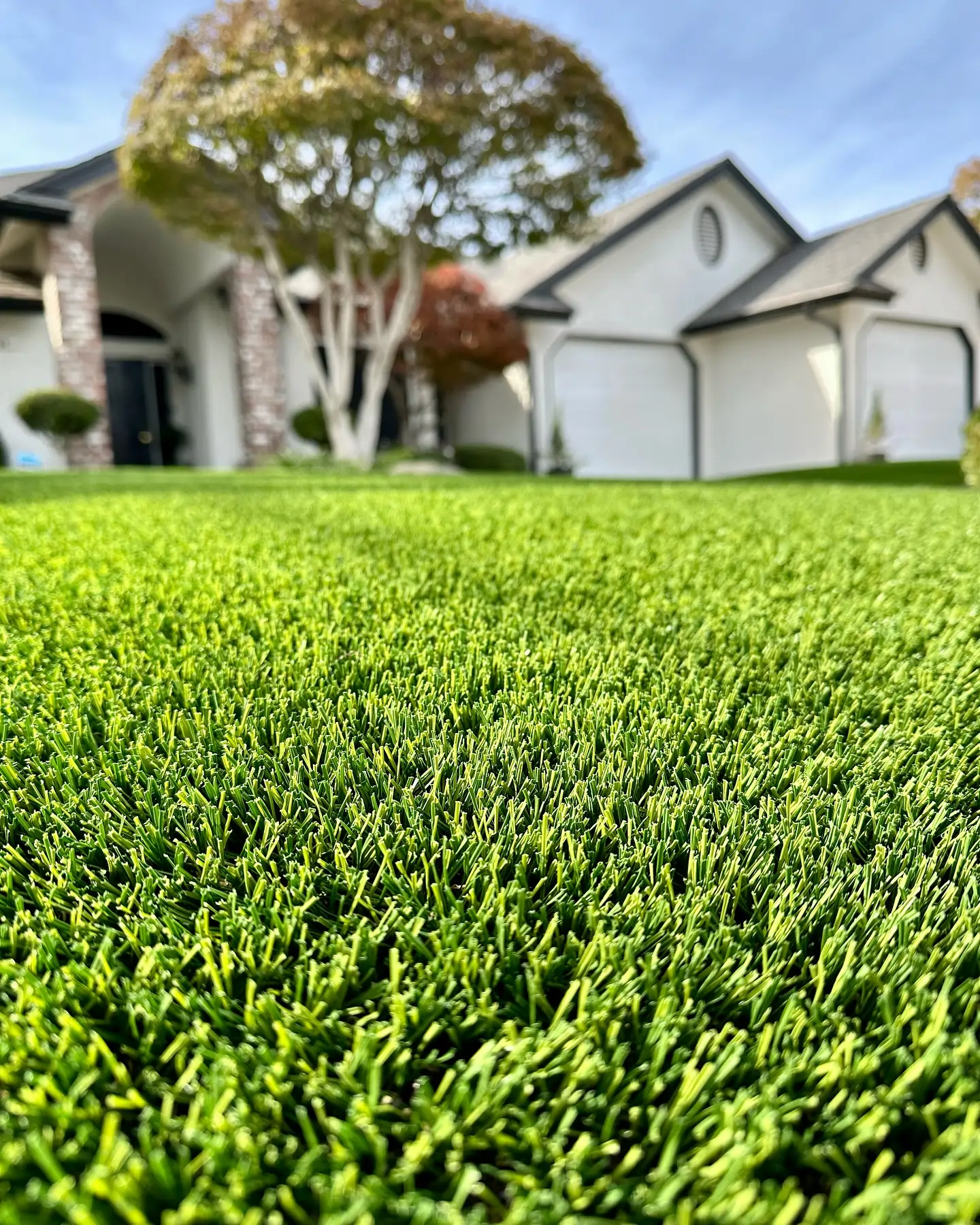 front yard with sacramento artificial grass