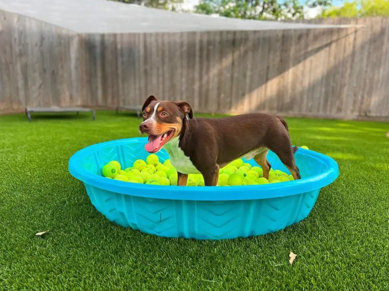 god playing in pool with tennis balls