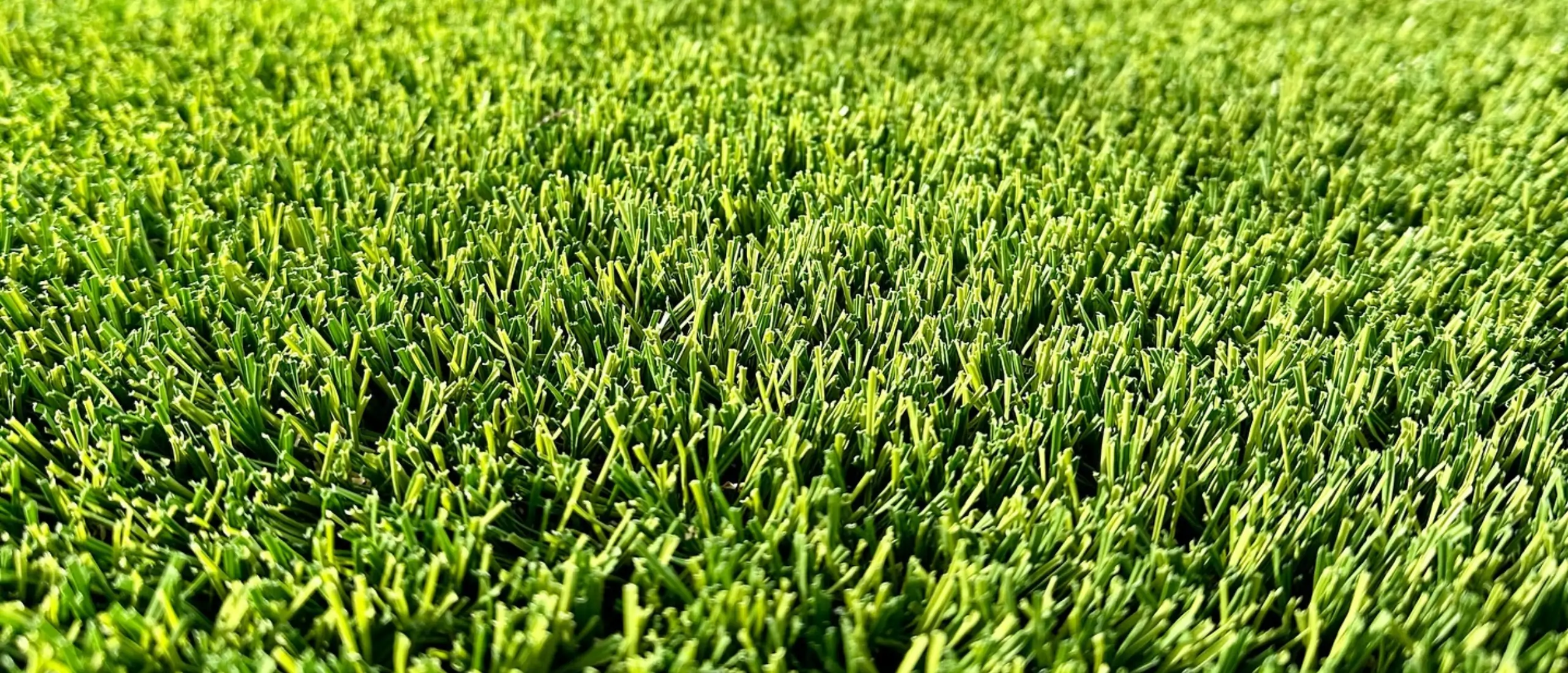 sacramento artificial turf synlawn