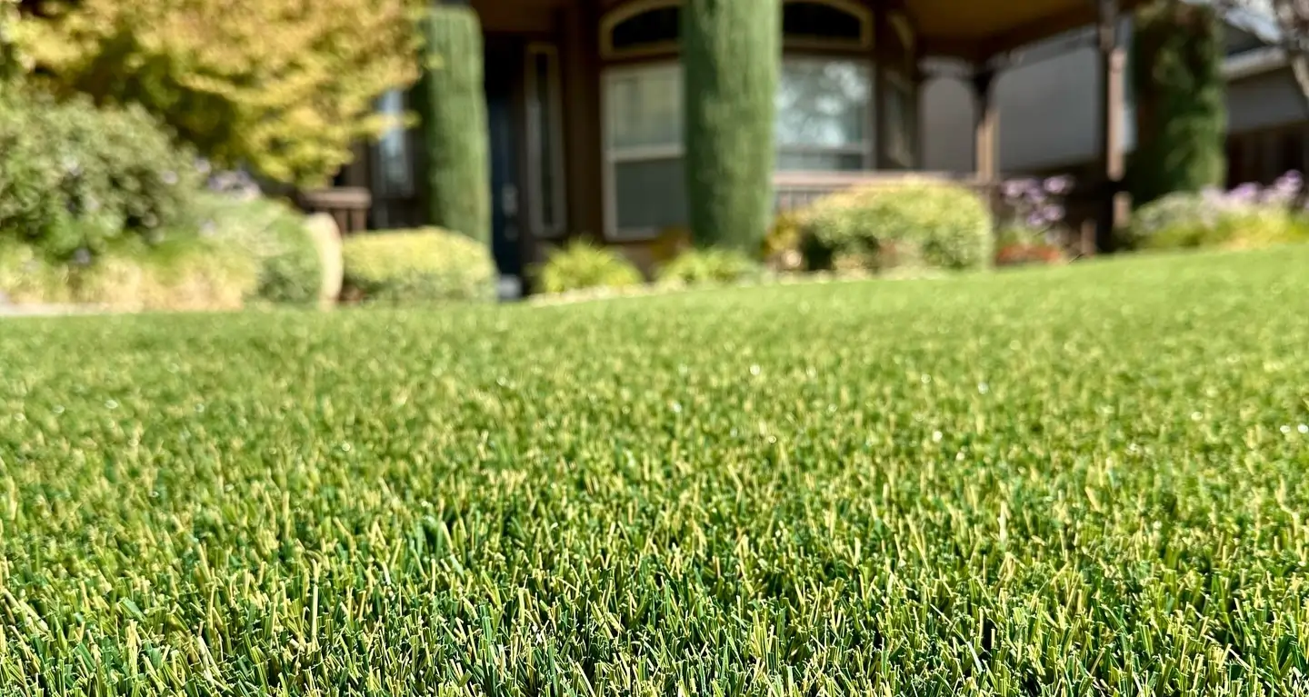 sacramento artificial grass SYNLawn