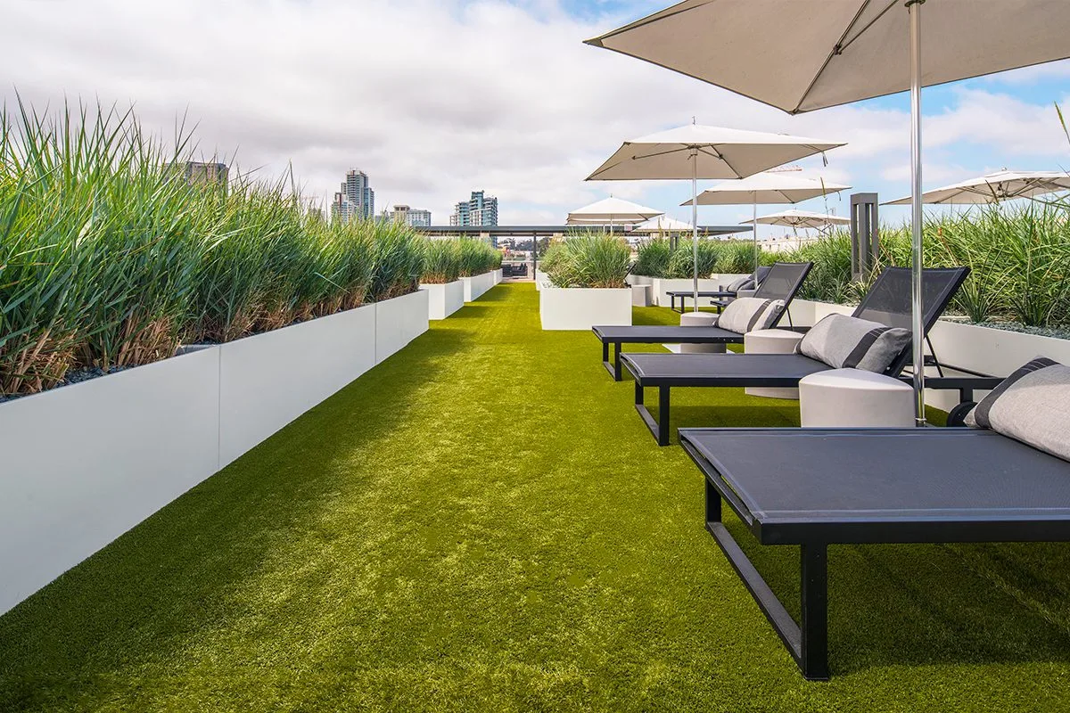 Rooftop Sacramento Artificial Grass